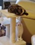 Cloe (unten) und Clarisa (oben)